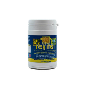 kapyderm-capsulas-revital